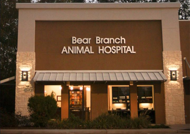 Bear Branch Animal Hospital, Bear Branch