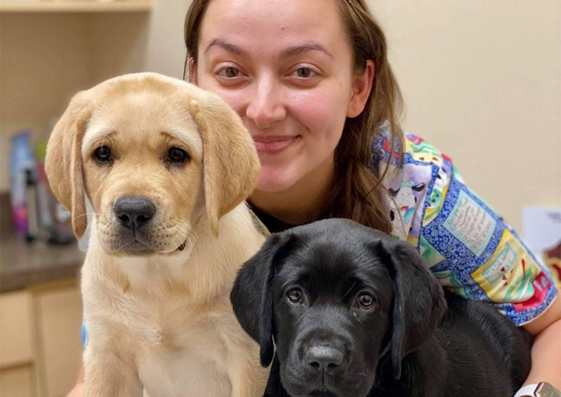 call magnolia animal hospital